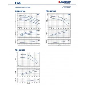 Насосная часть Pedrollo FG 65/125C Насосная часть Pedrollo FG 65/125C