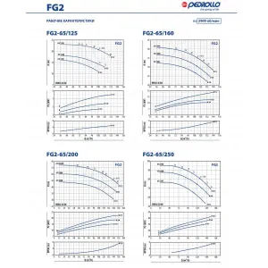 Насосная часть Pedrollo FG 65/200A Насосная часть Pedrollo FG 65/200A