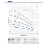 Насос скважинный Pedrollo 4SR 6/31 - PD